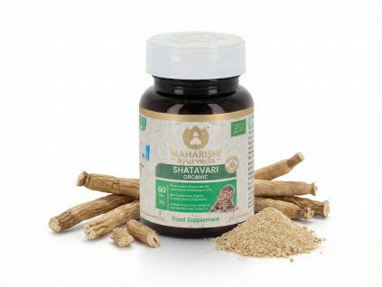 Shatavari MA