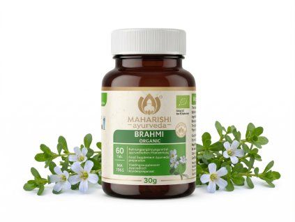 Brahmi MA mockup