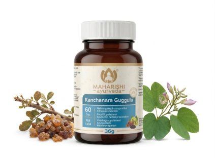 Kanchanara Gugglu MA mockup