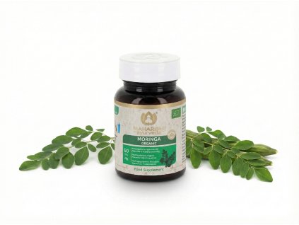 Moringa MA