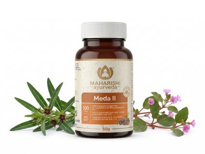 Meda2 MA mockup
