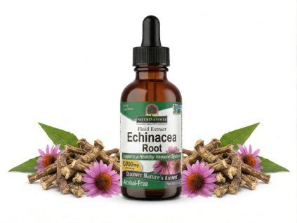 Echinacea NA mockup