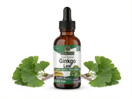 Ginkgo NA mockup