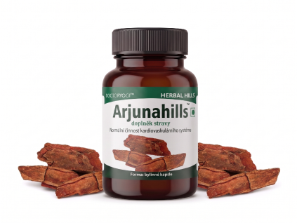 Arjunahills HH mockup