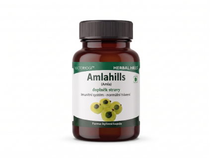 Amlahills HH mockup transparent