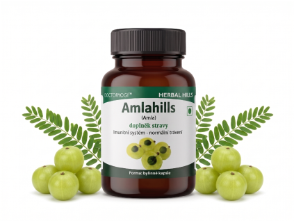 Amlahills HH mockup