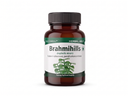 Brahmihills HH mockup transparent
