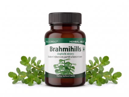 Brahmihills HH mockup