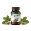 Ashwagandhahills HH mockup