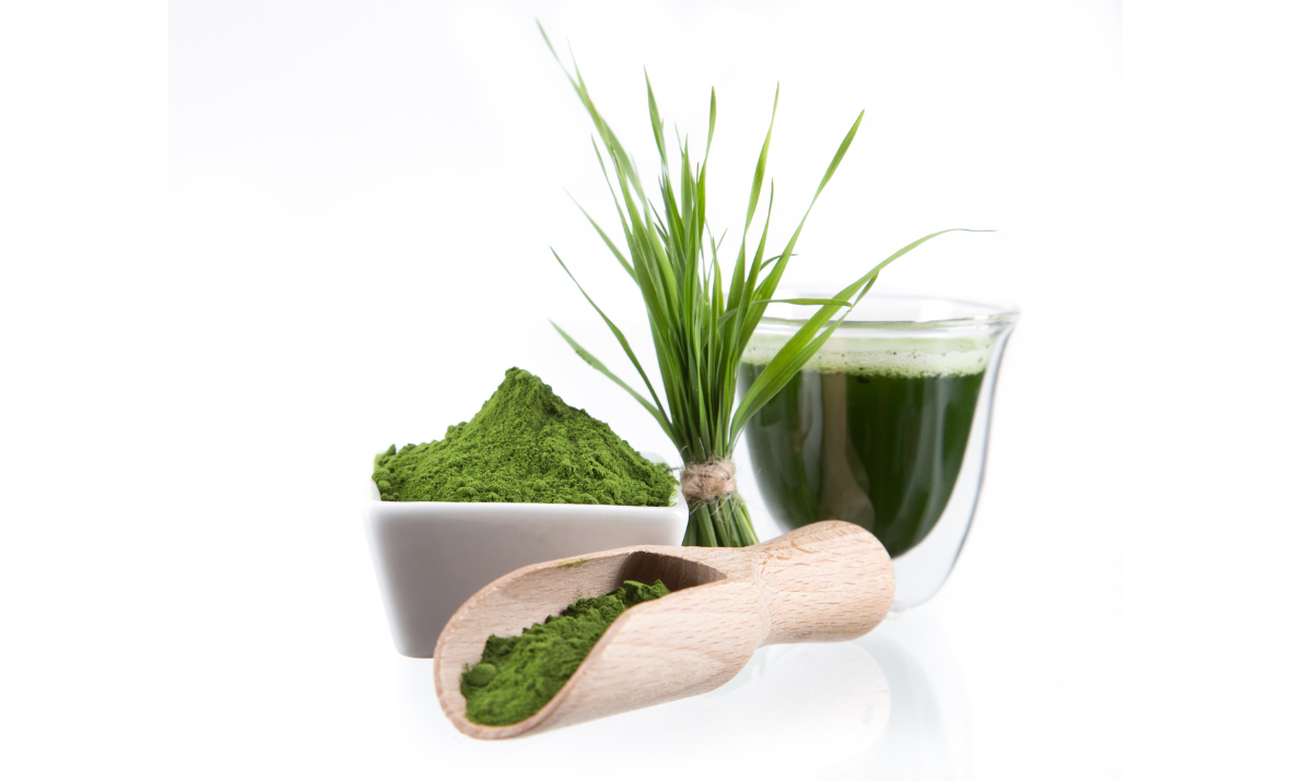 Mořské řasy - Omega3 pro vegany