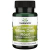 Swanson - Full Spectrum Yellow Dock Root