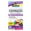 Nature's Answer - Kid's Sambucus Chewables, 45 žvýkacích tablet