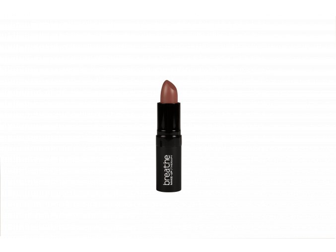 01 Lipstick Nude Matte