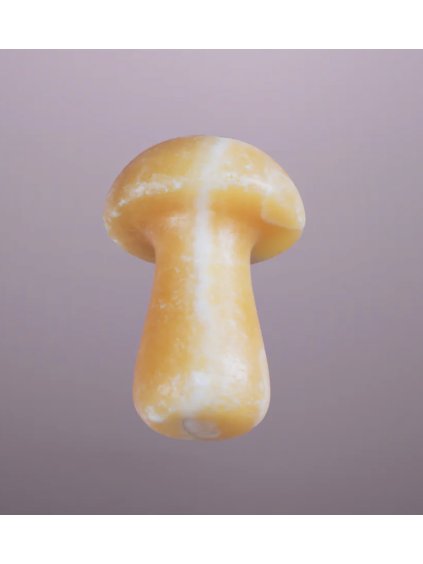 3876 1 herbar gua shroom masazni kamen kalcit