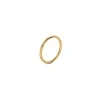 PlainRingGoldplated1.jpg