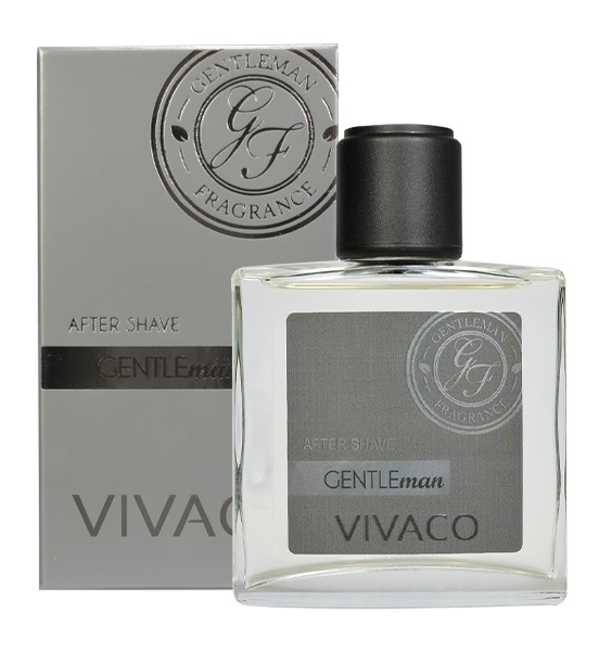 Vivaco Voda po holení GENTLEMAN SILVER 100 ml