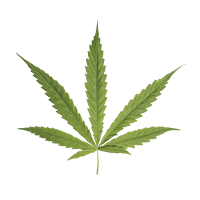 mceclip0-21_1