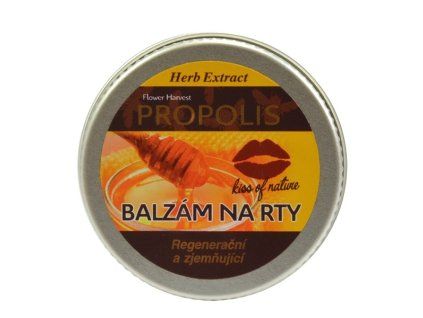 propolis2