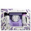BLP1903 Levandule_kazeta