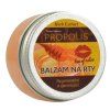 propolis (1)