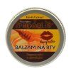 propolis2