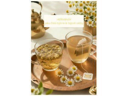 Bylinný čaj z heřmánku