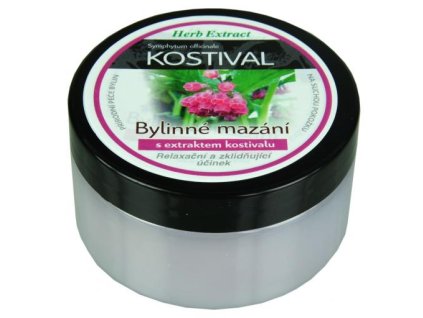 BYLINNÁ MAST KOSTIVAL