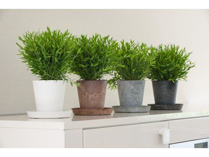 AY2m1nw0ziE gbpN10q3