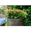 AYthgJBkWRDjLiO1z1mL
