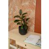 AYanIh3tWRDjLiO1kfGr