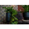 AYOyg5yaMmiDJrscVy5s