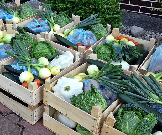 Bio bedýnky Black Kale Ostrava !