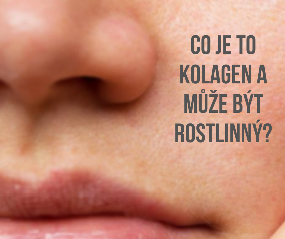 Co je to kolagen a může být vůbec rostlinný?