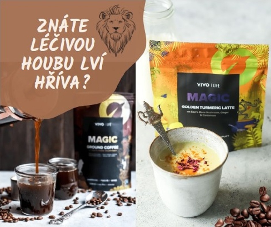 Znáte léčivou houbu lví hříva?