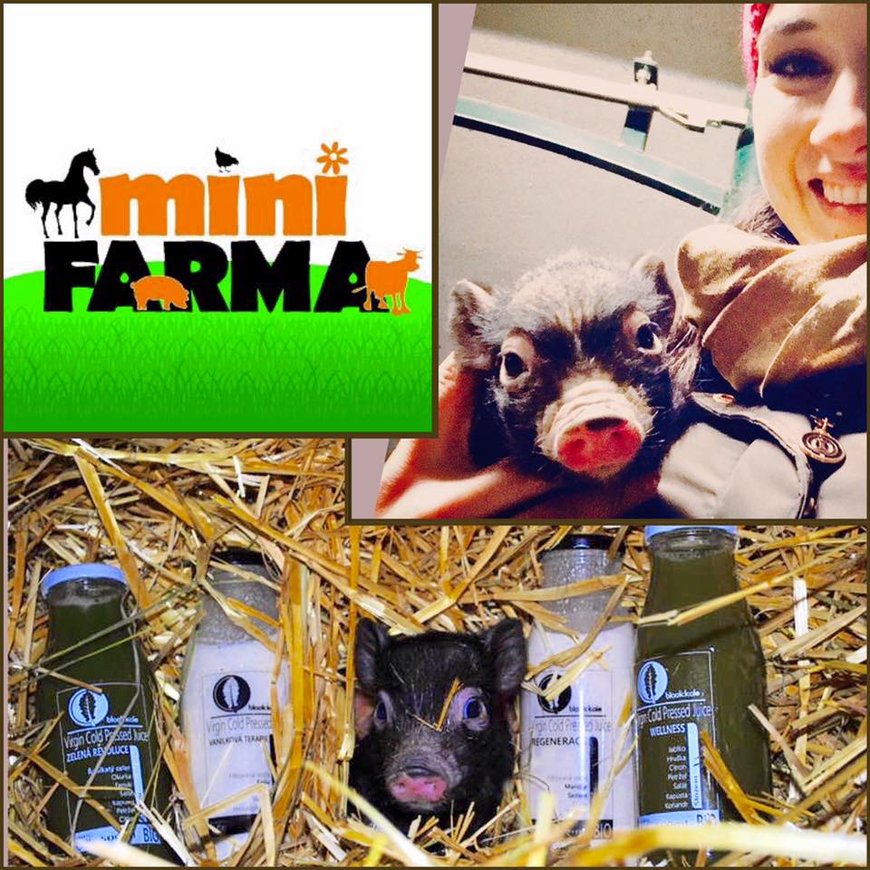 skvelé šťavy a rastlinné mlieka! Katarina - Mini Farma Drválovice