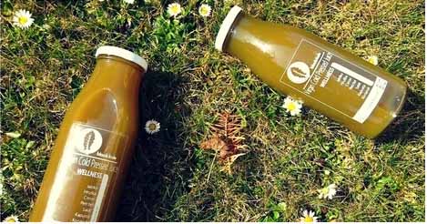 Jarní šťáva Bio Wellness pro jarní detox