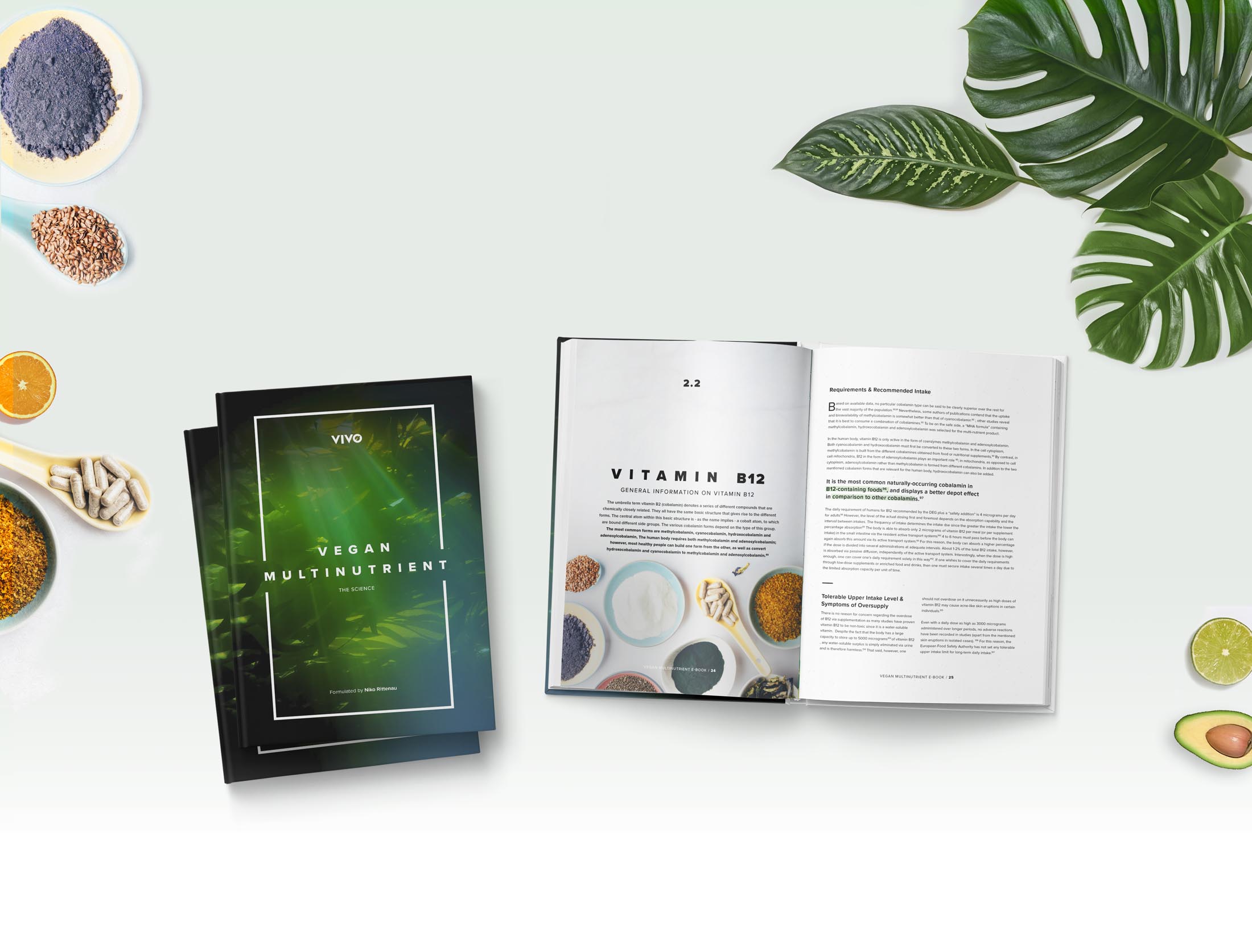 vmulti-overview-ebook-background