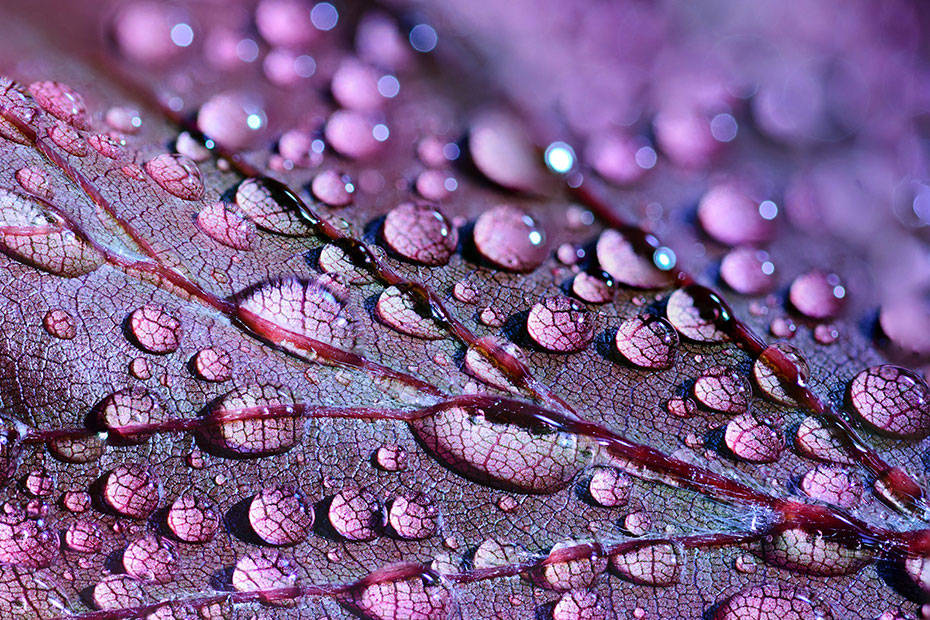 web-product-detail-1200x800-3