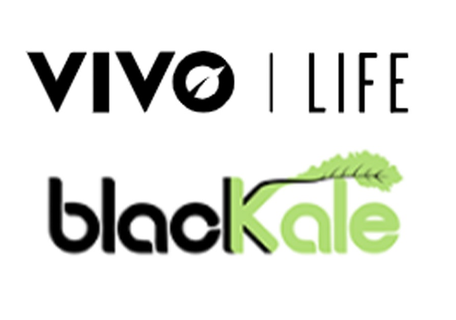 VIVO LIFE PROTEIN