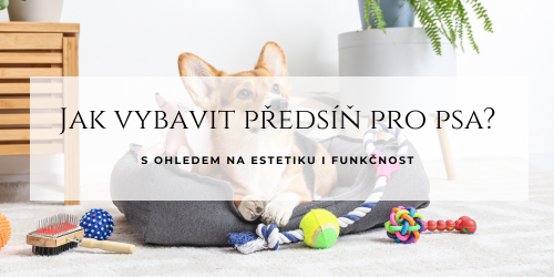 Pes součástí rodiny: Jak vybavit předsíň pro psa?