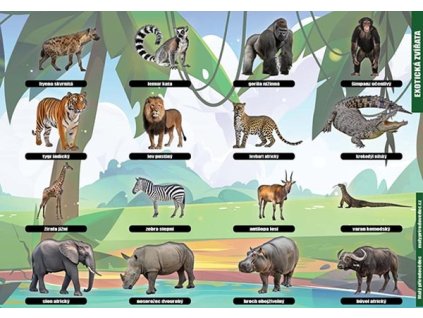 P 12 Exotická zvířata