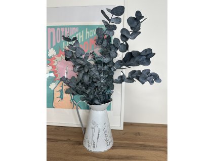 Stabilizovaný eukalyptus cinerea