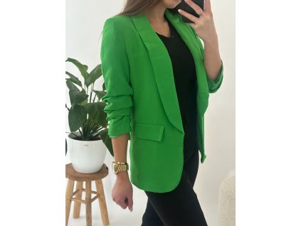 SAKO BLEJZR GREEN