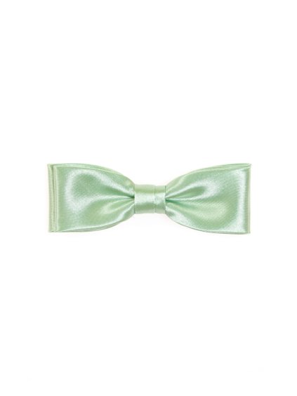 Velmi světle zelený motýlek