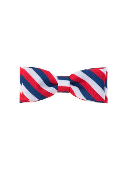 Pánský motýlek - trikolóra