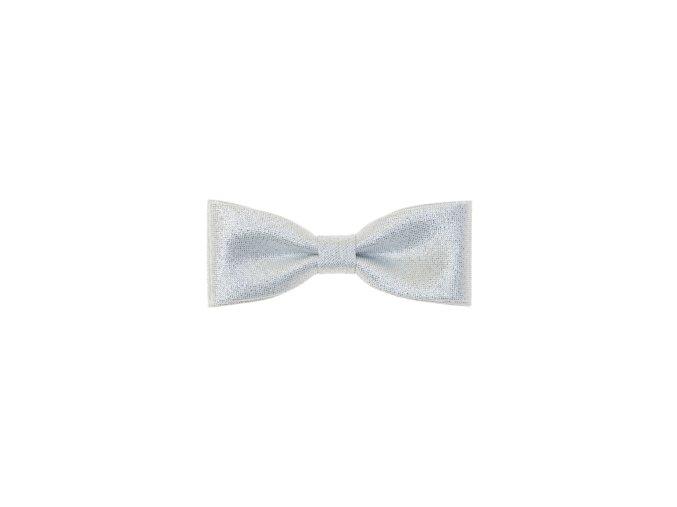 Stříbrný pánský motýlek (10 cm)
