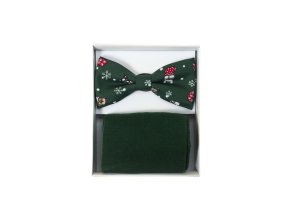 Set motýlek a ponožky 779-51073 Zelená (Velikost 39/42)