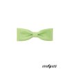 Motýlek KLASIK 576-9319 Zelená (Barva Zelená, Velikost 10 cm, Materiál 100% polyester)