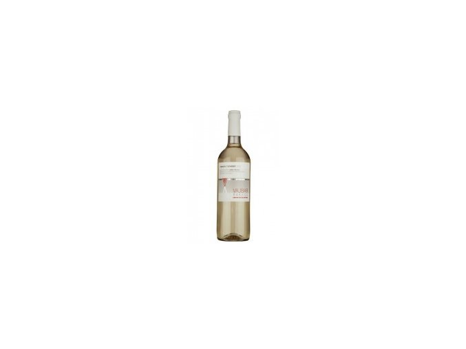 tramin cerveny 2023 polosl. Vajbar