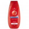 Schauma Color šampon pro lesk barvy 250 ml